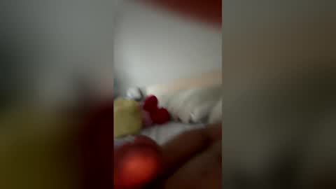 monchito88 online show from 06.05.26