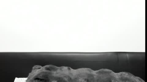 monicacure online show from 10.27.25