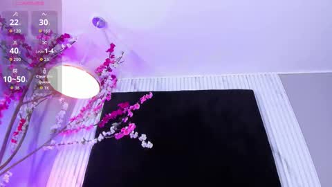 MONIK FOX online show from 12.02.25