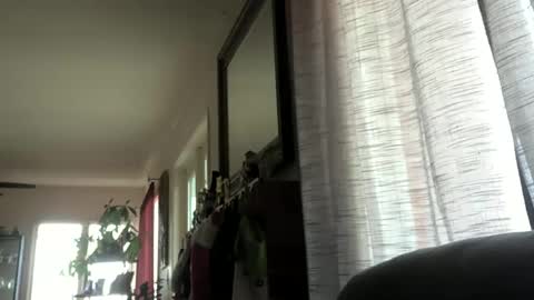 Snapshot of monkeedance chatting on 12.23.24 Monkee Dance online show from 12.23.24