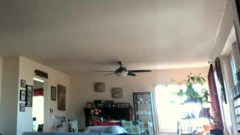 Snapshot of monkeedance chatting on 01.28.25 Monkee Dance online show from 01.28.25