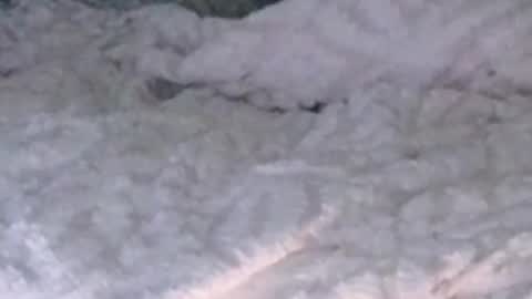 montydxxx2 online show from 02.05.26