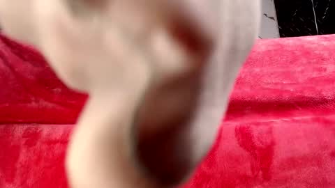 moolly_evanz online show from 02.04.26