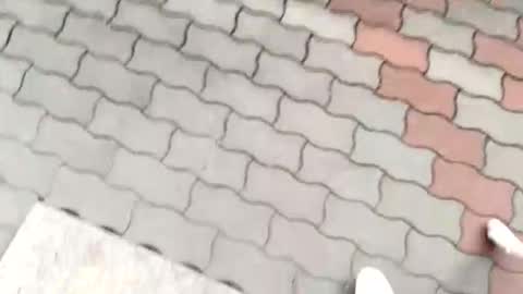 moos1 online show from 09.12.25