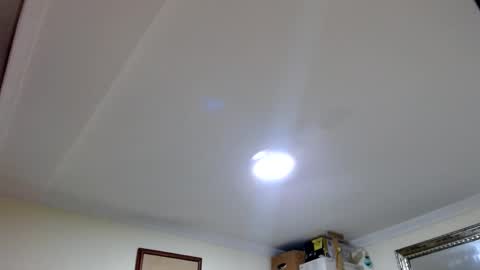 Abelardo online show from 09.23.25