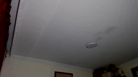 Abelardo online show from 10.18.25