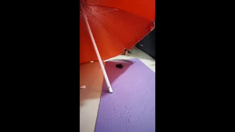 morbucksrica online show from 02.15.26