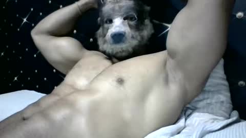 moreno1muscular online show from 03.04.25