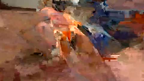 Flying Bird online show from 01.18.26