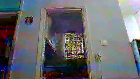 mppempis81 online show from 12.05.25