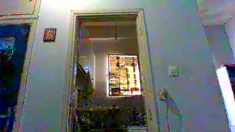 mppempis81 online show from 02.03.26