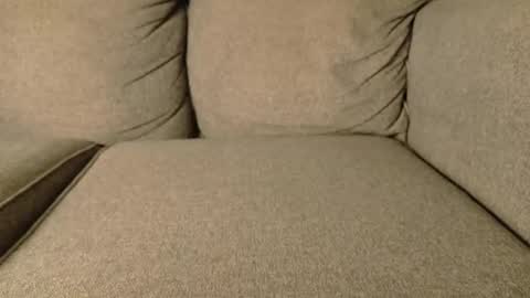 mr6ray online show from 01.19.26