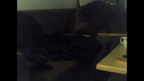 Nikola online show from 01.12.25