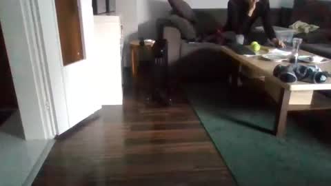 Nikola online show from 02.17.25