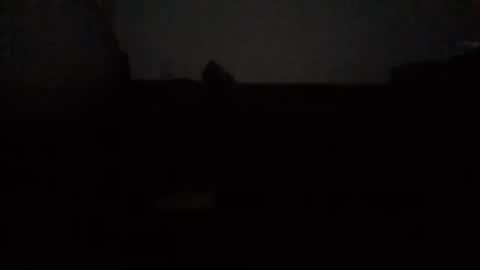 Nikola online show from 10.15.25