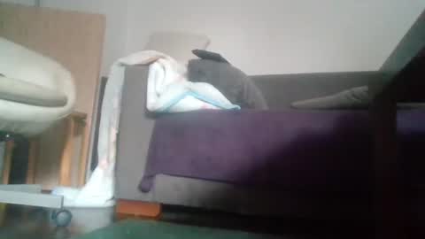 Nikola online show from 10.18.25