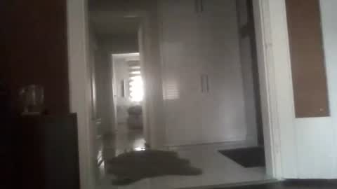 Nikola online show from 03.13.26