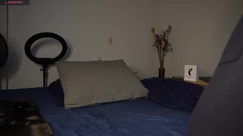 Snapshot of mrlouiss chatting on 02.23.25 Luis Instagram online show from 02.23.25