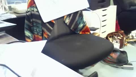 mroldred online show from 02.23.26