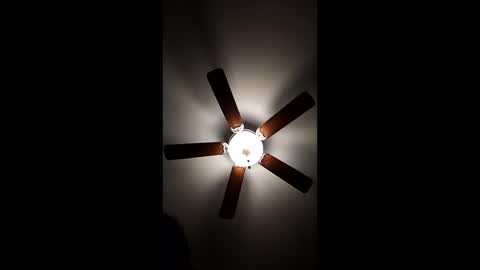 Snapshot of mrorange50187 chatting on 12.18.24 mrorange50187 online show from 12.18.24