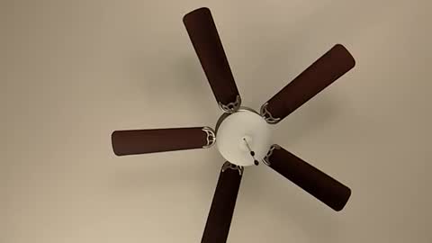 Snapshot of mrorange50187 chatting on 01.08.25 mrorange50187 online show from 01.08.25