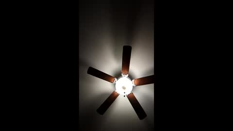 Snapshot of mrorange50187 chatting on 01.08.25 mrorange50187 online show from 01.08.25