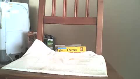 Longshot online show from 10.06.25