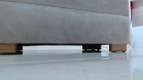 Tell me Katty  online show from 01.10.25