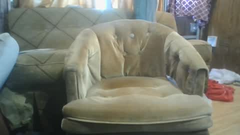 mrstergreen9 online show from 10.05.25