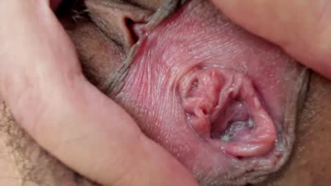 Annabelle  online show from 01.26.25