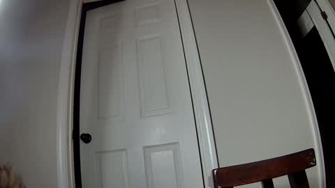 missqueenbbw online show from 12.02.24