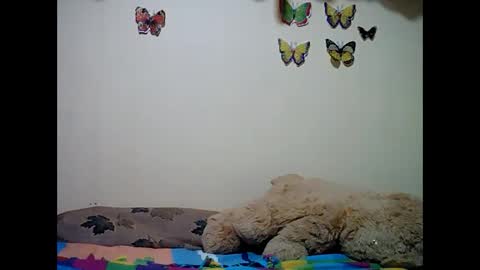 ms_teery online show from 12.08.24