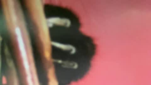 msduss351 online show from 02.02.25