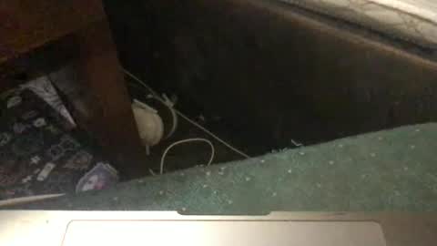 Snapshot of mswhoknows chatting on 01.11.26 Tara Jane online show from 01.11.26