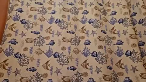 Muffdiver online show from 03.26.26