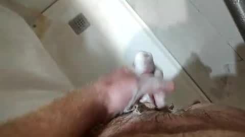 Snapshot of mugglesmuggler chatting on 03.20.26 mugglesmuggler online show from 03.20.26