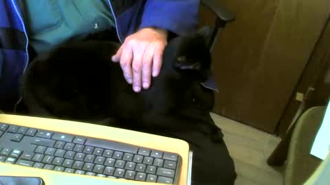 muller520 online show from 02.04.25