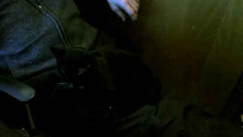 Snapshot of muller520 chatting on 03.12.26 muller520 online show from 03.12.26