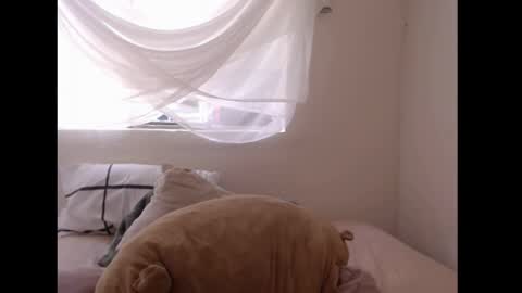   online show from 04.06.26