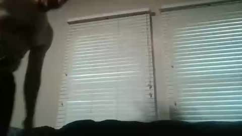 vienna online show from 11.16.25