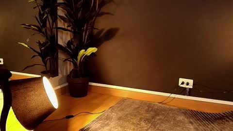 Maite online show from 02.01.25