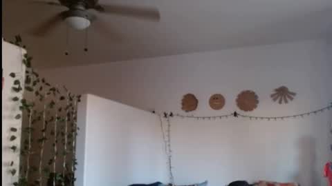 Snapshot of mycock4u247 chatting on 02.21.25 LA MARIPOSA DE MARICOPA online show from 02.21.25