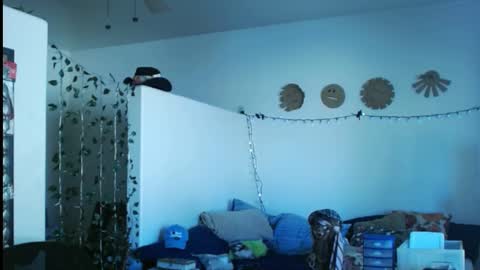 Snapshot of mycock4u247 chatting on 03.02.25 LA MARIPOSA DE MARICOPA online show from 03.02.25