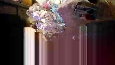 Snapshot of myhardlover chatting on 12.04.25 Mmmm Feels Great online show from 12.04.25