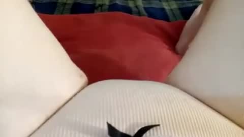 Kitty online show from 06.27.26