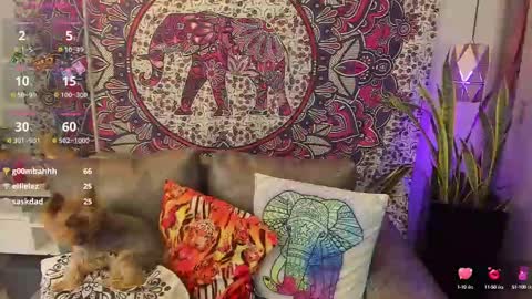 Snapshot of mysaris3 chatting on 02.10.25 S A R A online show from 02.10.25