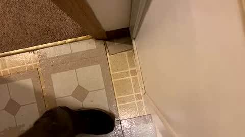 Snapshot of nairda2senoniuq chatting on 12.20.24 nairda2senoniuq online show from 12.20.24