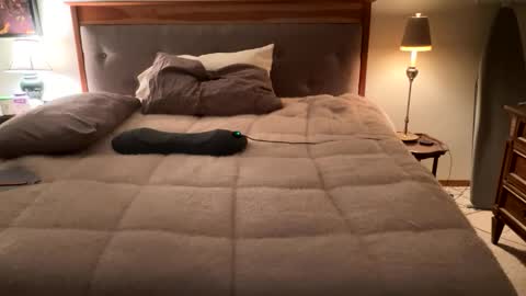 Masturbating boys need to be spanked. online show from 04.12.26