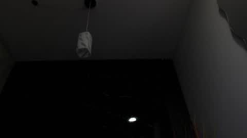 NALAROY online show from 02.15.25