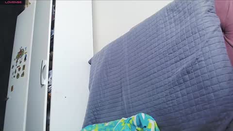 Snapshot of nani_lu chatting on 12.27.24 Nani online show from 12.27.24